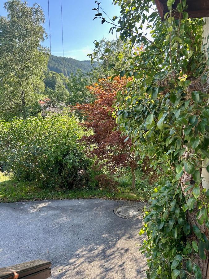 Apartment Huberspitz - Ruhe, Berge & Natur Hausham Exterior photo